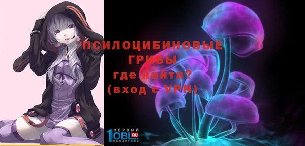 альфа пвп Беломорск